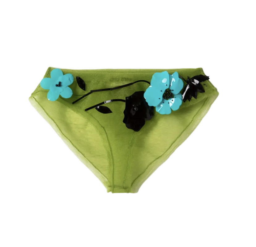 Floral-Embellished Sheer Briefs