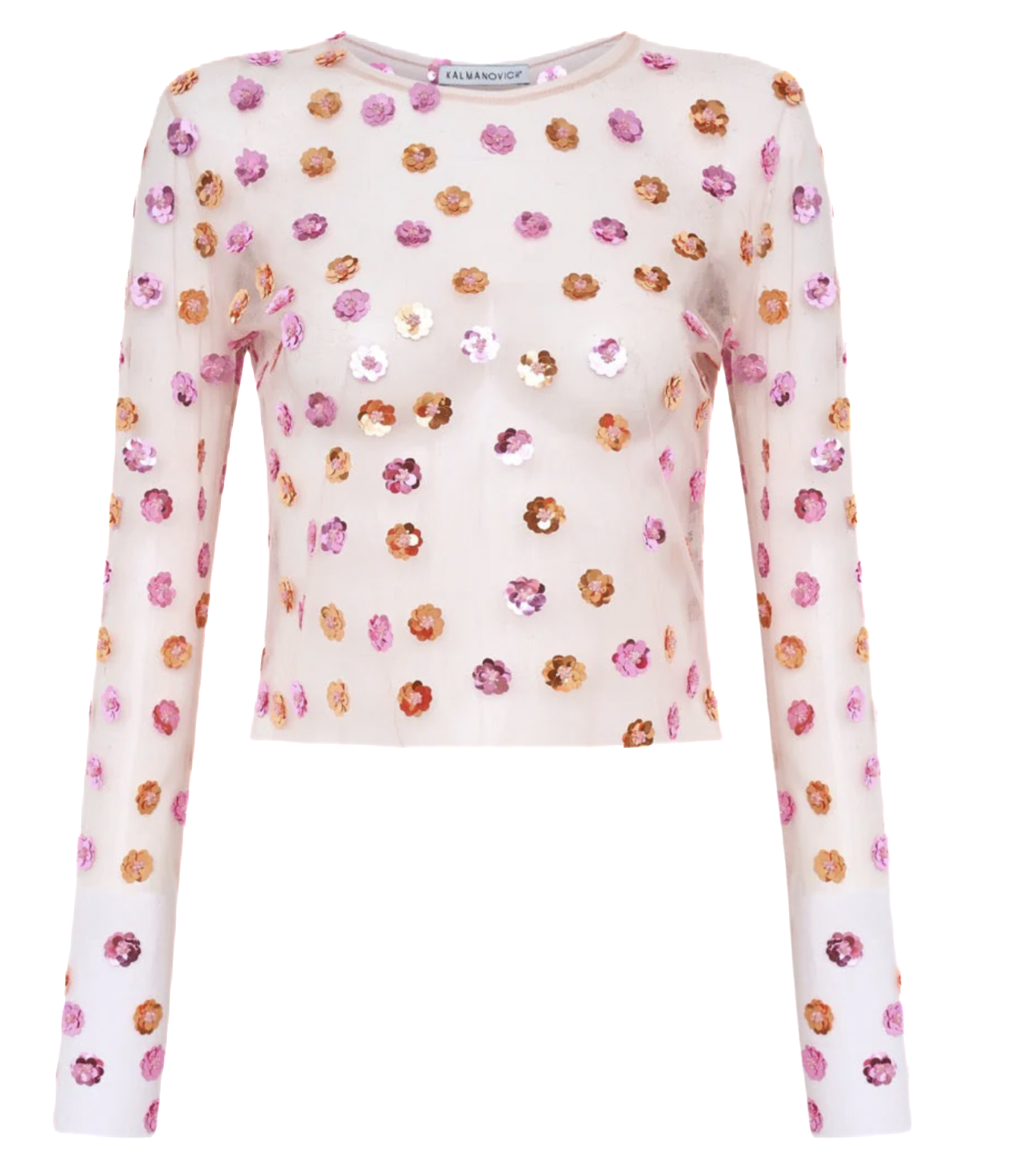 Mesh Top with Embroidery