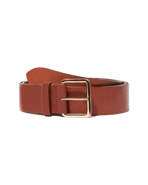 Largo Belt with Gold Buckle