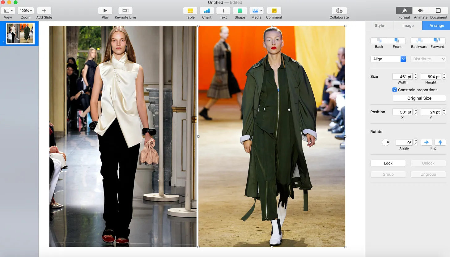 What do fashion's new generation critics make of old Celine