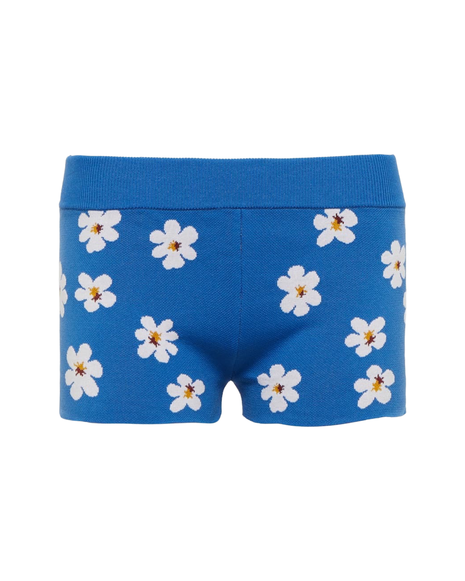 Floral Jacquard Shorts