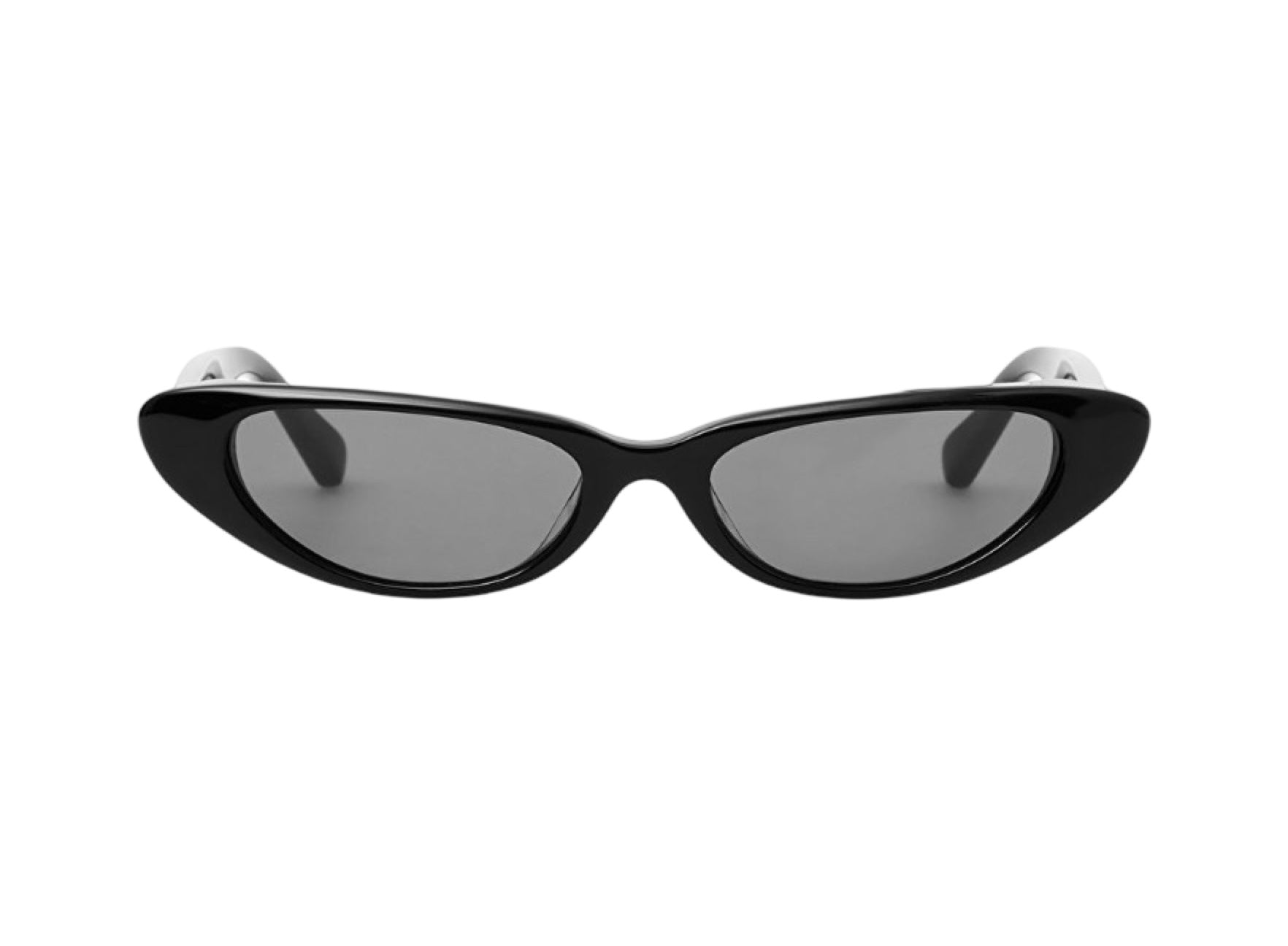 Wing Sunglasses