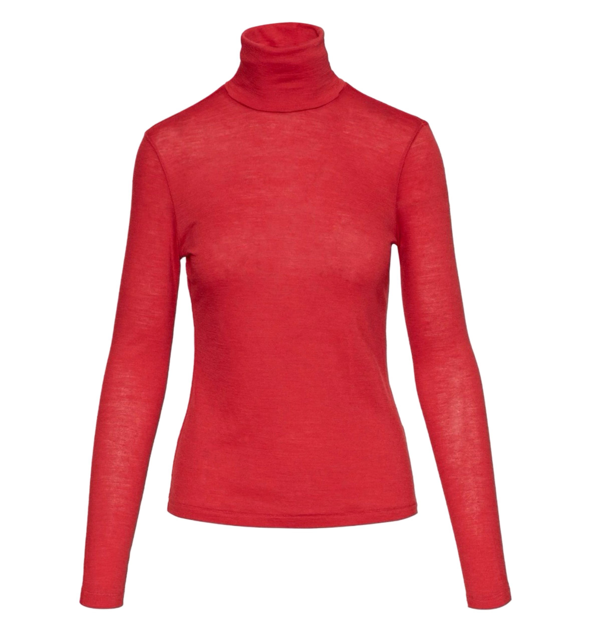 Skinny Turtleneck in Merino Silk Jersey