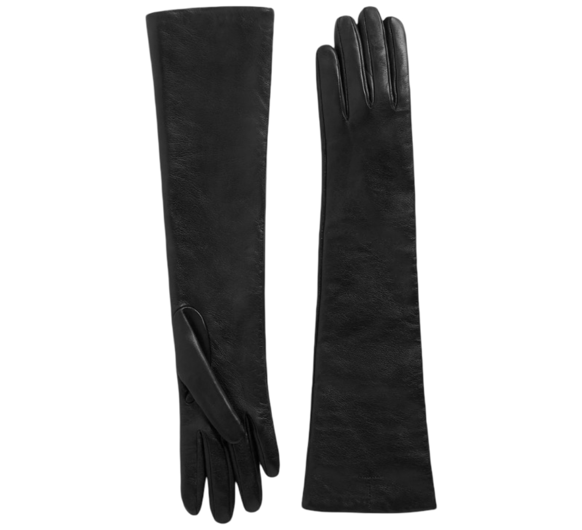 Long Leather Gloves