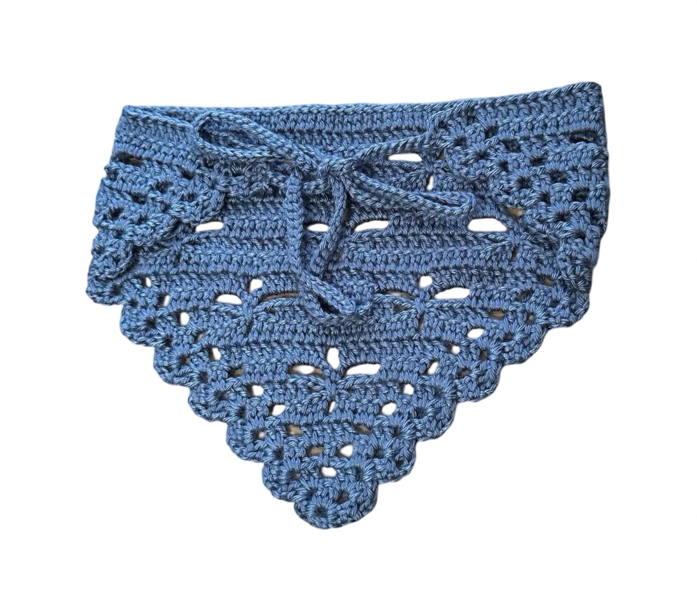 Crochet Dragonfly Bandana