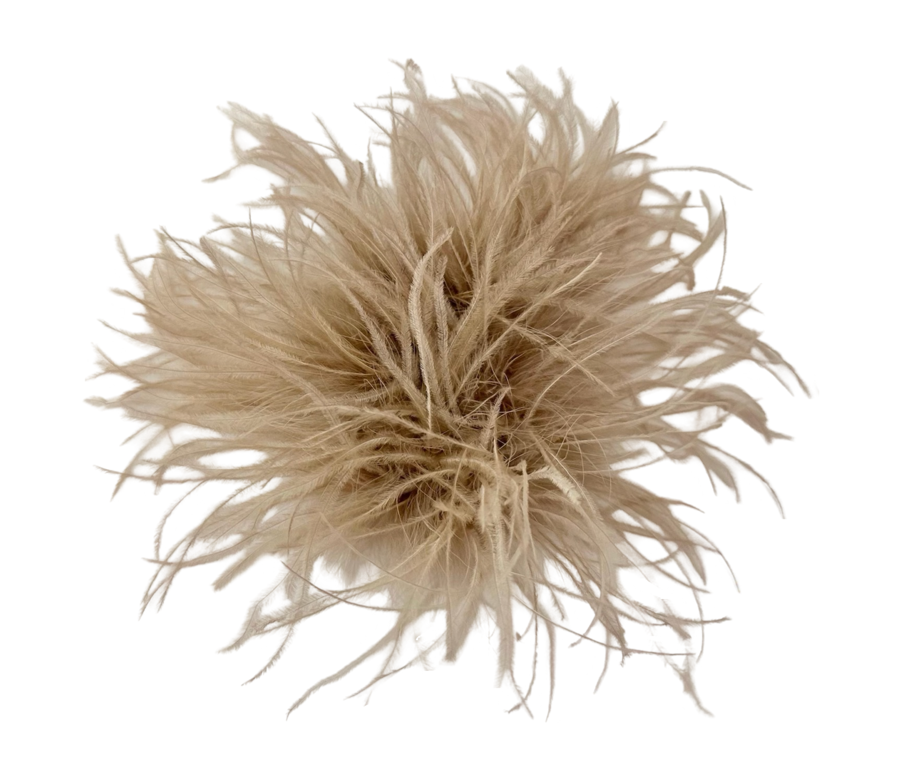 Ostrich Feather Brooch